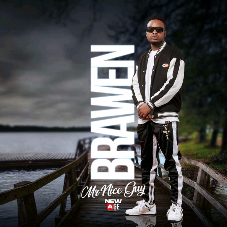 Brawen – Mr. Nice Guy | Full Album Download