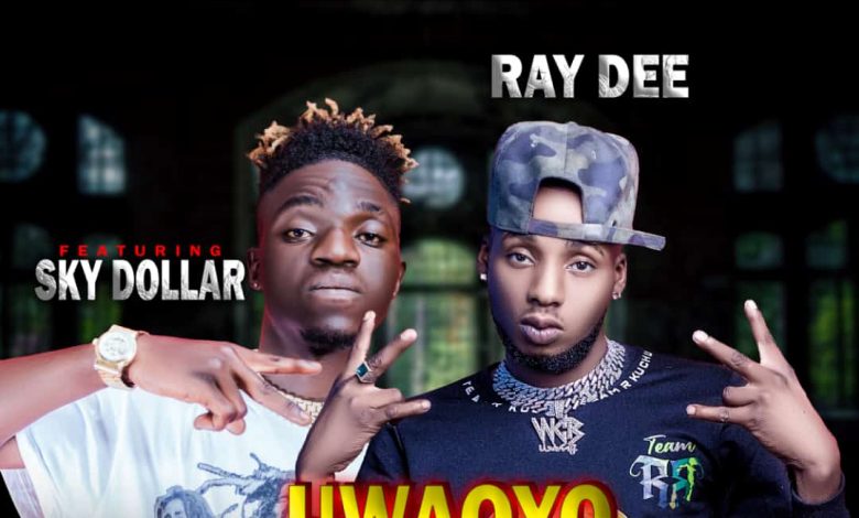 Ray Dee Ft Sky Dollar - Uwaoyo Waoyo