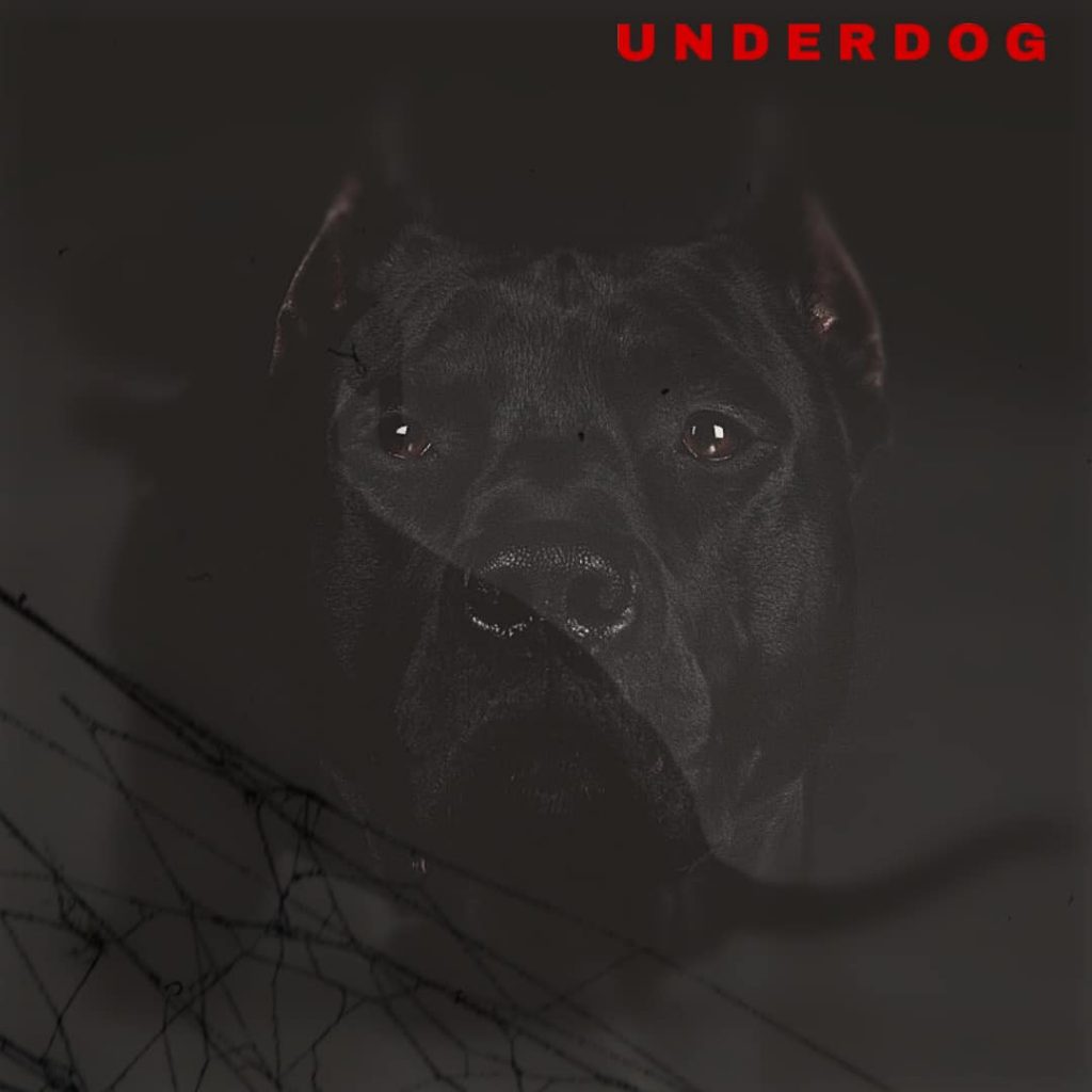Aqualaskin – Underdog