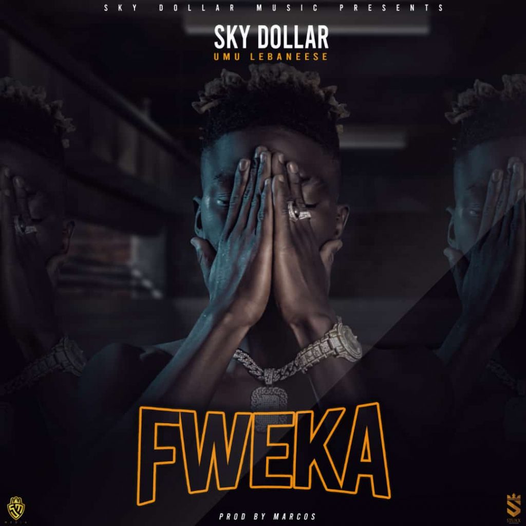 Sky Dollar - Fweka Download Mp3