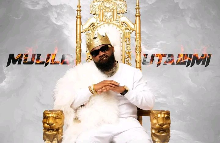 King Illest – Mulilo Utazimi (Full Album Download)