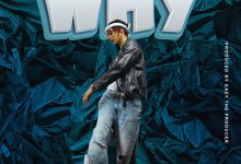 Kanina Kandalama - Why