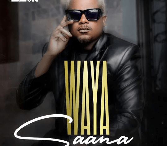 T-Sean – Waya Saana