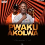 https://zambiancliq.com/chanda-na-kay-challenger-pwaku-akolwa/